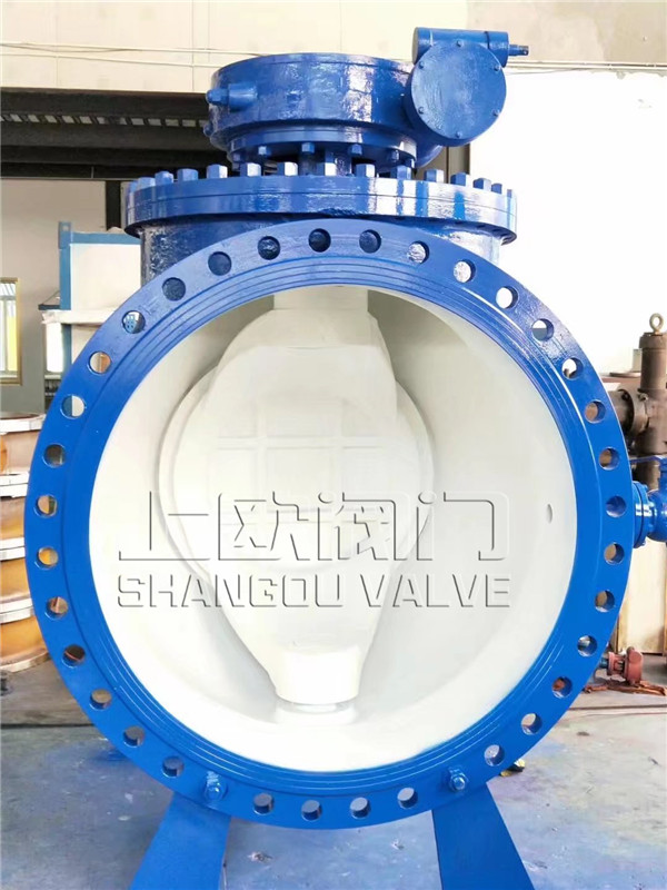 ��ھ�ƫ�İ���